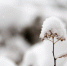 image - GazetaRB.Ru