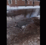 image - GazetaRB.Ru