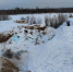 Фото Мертвых собак в районе Бурятии перезахоронят в другом селе - Газета Новая Бурятия