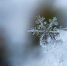 image - GazetaRB.Ru