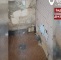 Фото Растения, насекомые и грязь: жильцы общежития в Улан-Удэ возмущены ремонтом в душевой - Газета Новая Бурятия