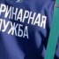 В пригороде Улан-Удэ выявили очаг бешенства - ИА Байкал-Daily