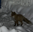image - GazetaRB.Ru