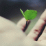 image - GazetaRB.Ru