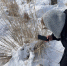 image - GazetaRB.Ru