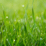 image - GazetaRB.Ru