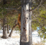 image - GazetaRB.Ru