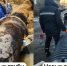 Фото Новые трубы в центре Улан-Удэ прослужат век - Газета Новая Бурятия