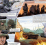 Сукуев В_2.png - ВостокТелеИнформ