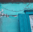 image - GazetaRB.Ru