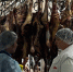 На прилавки в Улан-Удэ едва не попало 700 кг просроченного мяса - Infpol.Ru