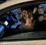 image - GazetaRB.Ru
