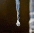 image - GazetaRB.Ru