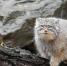 image - GazetaRB.Ru