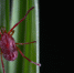 image - GazetaRB.Ru