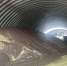 image - GazetaRB.Ru