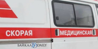 В Бурятии овчарка напала на 7-летнюю девочку - ИА Байкал-Daily