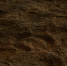 image - GazetaRB.Ru