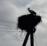 image - GazetaRB.Ru