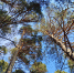 image - GazetaRB.Ru