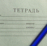 Педагог из школы в Онохое получила выговор после служебной проверки - Infpol.Ru