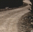 image - GazetaRB.Ru