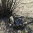image - GazetaRB.Ru