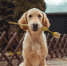 image - GazetaRB.Ru