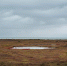 image - GazetaRB.Ru
