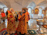 В честь иконы «Живоносный Источник» Глава митрополии совершил Литургию и водоосвящение
