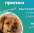 В Улан-Удэ комбинат по благоустройству начал метеоакцию добра - ИА Байкал-Daily