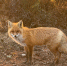 image - GazetaRB.Ru