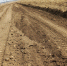 image - GazetaRB.Ru