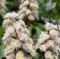 image - GazetaRB.Ru
