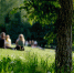 image - GazetaRB.Ru
