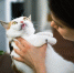 image - GazetaRB.Ru