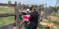 Пропавшего в Бурятии мальчика ищут в лесу, «заброшках» и на воде - ИА Байкал-Daily
