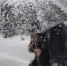 image - GazetaRB.Ru