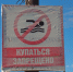 В Иркутской области пьяный мужчина утонул на глазах у друзей - ИА Байкал-Daily