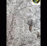image - GazetaRB.Ru