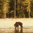 image - GazetaRB.Ru