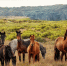 image - GazetaRB.Ru