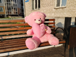 Фото Стала известна программа «Больших семейных выходных в Этномузее