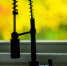 image - GazetaRB.Ru
