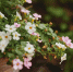 image - GazetaRB.Ru