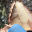 image - GazetaRB.Ru
