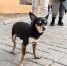 image - GazetaRB.Ru