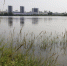 image - GazetaRB.Ru