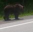 image - GazetaRB.Ru