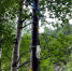 image - GazetaRB.Ru
